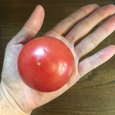 つるんと丸かわいい小さめトマト。
